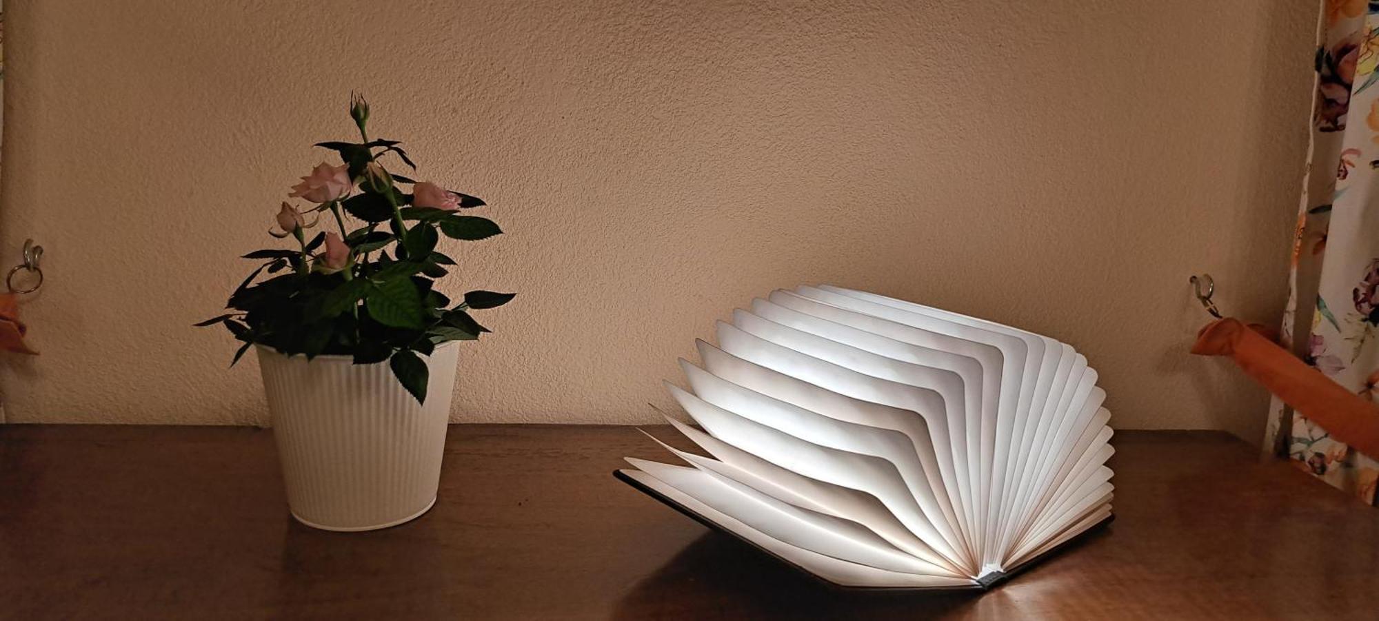 La Vernassonne Alzonne Ngoại thất bức ảnh